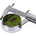 Portable Insects on Leaves Round Pill Box - 3 Compartment Travel Organizer for International Shipping - Buy Online on GoSupps.com