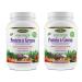 Paradise Herbs Orac Energy Protein Powder, Greens,454 g (Pack of 2)