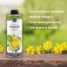 Borchers 2x Premium Rapeseed Oil Set | 2x 500ml | Rich in Omega-3 | Fine Butter Taste | Ideal for Roasting & Baking - 1L Total - Buy Online on GoSupps.com