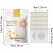 Bee Venom Weight Loss Patch | Lymphatic Drainage & Slimming Plaster | Shop Now - Buy Online on GoSupps.com
