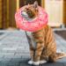 Xinzistar Rauskrause Adjustable Soft Cat Collar - Anti-Bite Safety for Cats Dogs & Kittens - Pink Donut (M) | International Shipping Available - Buy Online on GoSupps.com