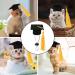 Beavorty Elastic Doctor Cap & Graduation Cap Set for Dogs Perfect Pet Cosplay Hats 5.5x3.5cm Yellow | Shop Internationally - Buy Online on GoSupps.com