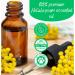 GreenHealth Helichrysum Essential Oil 5 ml 100% Pure & Natural Therapeutic Grade Amber Glass Bottle with Euro Dropper Helichrysum 0.17 Fl Oz (Pack of 1) - Buy Online on GoSupps.com