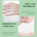12 Sheet Masks Korean Facial Treatment with Natural Ingredients Daily Care Beauty Mask Hydrating and Nourishing for All Skin Types 25ML - Buy Online on GoSupps.com
