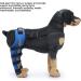 Dog Leg Brace Relieve Pain Delicate Pet Knee Pads Shockproof Waterproof Elastic for Pets (S) - Buy Online on GoSupps.com