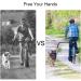 Wefaner Hands-Free Dog Bicycle Exerciser Leash - Enjoy Cycling with Your Pet - Buy Online on GoSupps.com