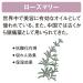Shiseido Super Mild Green Conditioner Pump - Gentle Hair Care Solution - Buy Online on GoSupps.com