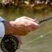 Redington Path Fly Rod Combo Kit | Pre-Spooled Crosswater Reel | 8wt 9'0 Medium-Fast Action Rod - Buy Online on GoSupps.com