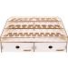 OPHIR Wooden Paint Rack Stand with Cabinet Holder for 58 Bottles - Paints Organizer & Storage Solution - Buy Online on GoSupps.com