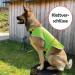 Reflective Dog Warning Vest - Safety Jacket for Dogs | Robust Lined Fabric Sizes Available in Neon Green - Buy Online on GoSupps.com