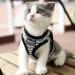Suredoo Dog Harness with Leash - Anti-Train Reflective Chest Harness for Small Dogs Puppies & Cats (White Wave Size S) - Shop Now! - Buy Online on GoSupps.com