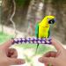 Zerodis 24Pcs Finger Traps - Eco-Friendly Bamboo Chew Toys for Kids & Birds | DIY Party Fun - Buy Online on GoSupps.com