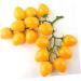 OUNONA Simulated Small Tomatoes Models Cherry Tomatoes Decor Photography Props Artificial Cherry Tomatoes Model Faux Fruit Decor Realistic Party Decor Foam Fake Fruit Window Yellow 4.00X2.00X2.00CM - Buy Online on GoSupps.com