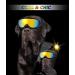 Lewondr UV Safety Sunglasses for Dogs | Windproof Waterproof Anti-Fitting Glasses for Medium & Large Dogs | Adjustable Rubber Band & Sponge Cushion - Black Single Lenses - Buy Online on GoSupps.com