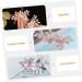 Beaupretty Accessories bride wedding tiara bridal flower hair combs rhinestone pearl hair comb hair pin crystal bridesmaid hair accessories women headdresses wig rhinestones Zinc alloy Comb - Buy Online on GoSupps.com