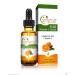 Buy 3-Pack Vitamin C Serum for Face - 20% Pure Vitamin C Organic Vegan Hyaluronic Acid Anti-Aging & Sun Spot Reduction - 1 Fl Oz - Smyrna - Buy Online on GoSupps.com