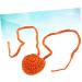 Milisten 3pcs Nasal Hair Trimmer Nasal Suction for Adults Trimmer for Men Nose Warmer for Women Creative Nose Glasses for Kids Protective Nose Nasal Shield Baby Orangex3pcs 14*4.85cmx3pcs - Buy Online on GoSupps.com