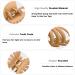Alxiluax 4 Pcs Octopus Hair Clips Matte Hair Clips Octopus Hair Claw 3.5" Large Hair Claw Clips for Women Strong Grip Non-slip Jaw Clips for Thick and Medium Hair Big Spider Claw Hair Clips Hair Styling Accessories Gifts for Women Neutral Colors - Buy Online on GoSupps.com