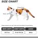 VKPETFR Cat Harness and Leash Set Escape Proof for Walking Adjustable Cute Kitten Harness Leash with Airtag Holder for Small Large Cats Lightweight Soft Walking Travel Harness (Black) - Buy Online on GoSupps.com