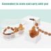 RUDFUZ Upgraded Pacifier Clip Anti-Drop Chain with Silicone Teething Beads | Ideal Baby Soother & Dummy Holder in Light Blue - Buy Online on GoSupps.com