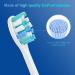 Replacement Toothbrush Heads for Philips Sonicare - Compatible Electric Toothbrush Brush Heads (Click-on/Snap-on) | KD-D2 - International Shipping Available - Buy Online on GoSupps.com