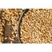 Organic Linseed Gold - Size: 500g - Buy Online on GoSupps.com
