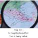 Handheld Magnifier 5X Magnifier Magnifier HD Old Man Reading Magnifier Child Magnifying Glass Made in China - Buy Online on GoSupps.com