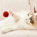 LAMXD Cat Toy Balls Soft Cat Balls 1 Inch Kitten Pom Poms Ball Cat Play Toy Indoor Cats Interactive Pompon Ball Toy 30 Pcs - Buy Online on GoSupps.com