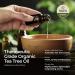 Gya Labs Organic Tea Tree Oil - 10ml (Pack of 1) for Skin, Hair, Face, Toenails, Scalp & Piercings - Australian Tea Tree Essential Oil - Buy Online on GoSupps.com