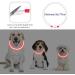 Coolzon LED Luminous Dog Collar - Waterproof & Adjustable with 3 Light Modes for Small & Medium Pets - Super Bright Red - Buy Online on GoSupps.com