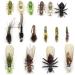 YZD Fly Fishing Flies Kit - Realistic Hand-Tied Trout Lures - 12/26/48 Pcs 6-Ant Nymph Assortment - Buy Online on GoSupps.com