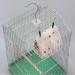 NA Triangular Bird'S Nest Flannel Mynah Winter Bird'S Nest Small Pet Warm Cotton Nest Bird Cage Parrot Bird Supplies as shown in the picture - Buy Online on GoSupps.com