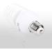 SLOW DOLPHIN Photo CFL Full Spectrum Light Bulb 2 x 45W 5500K CFL Daylight Photography Photo Video Studio Lighting(2 Packs) - Buy Online on GoSupps.com