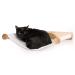 Furmia Cat Wall Hammock, Cat Wall Shelves, Cat Wall Furniture, Cat Wall Bed, Modern Wall Mounted Cat Shelves for Cats up to 40 lbs White