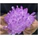 Amethyst 1pc Quartz Crystal Purple Rainbow Titanium Cluster 300G - Buy Online on GoSupps.com