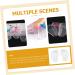6 Pairs High Heel Inserts & Grips for Women Soft Gel Metatarsal Pads for Comfort in Sandals & Shoes - Buy Online on GoSupps.com