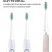 8 Pack Philips Sonicare Replacement Toothbrush Heads with Cover - Soft DuPont Bristles for Oral Health - Buy Online on GoSupps.com