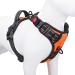 Phoepet Dog harness without a train For small dogs Reflecting vest with adjustable clip at the front with handle 2 metal rings 3 buckles simply put on and take off (L orange) orange L
