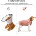 Ouuonno Healing Suits for Dogs - Surgical Relaxation for Abdominal Wounds & Skin Diseases | Cone-E-Neck Alternatives (XXL Stripes Pink) - Buy Online on GoSupps.com