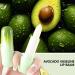 Hydrating Moisturizing Lipstick Lip Balms Stick Anti Cracked Lip Oil Natural Lipstick Base Moisturizer for Women Girls Avocado - Buy Online on GoSupps.com