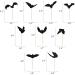 36 PCS Halloween Bat Cupcake Toppers Glitter Halloween Cupcake Picks Bat Baby Shower Cake Topper Kids Boys Girls Birthday Party Decorations Supplies Black cupcake decorations - Buy Online on GoSupps.com