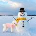 Mihachi Turtleneck Dog Sweater - Cable Knit Winter Coat with Leash Hole | Ideal New Year Gift for Small Pets | Flesh Pink - Buy Online on GoSupps.com