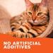 Pooch & Purr 1L Salmon Oil for Dogs, Cats, Horses, Ferrets & Pets | Omega 3 6 9 Fish Oil for Itchy Skin & Coat | Dog Vitamins & Supplements - Buy Online on GoSupps.com