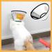 GUIYANIU Dog Cone Collar After Surgery Recovery Collars for Dogs Cats Cats Dog Cones for Anti-Licking Pet Protective Neck Cone Stop Licking Adjustable Plastic Soft Collar for Wound Dogs and Cats - Buy Online on GoSupps.com