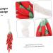 KOMBIUDA Simulation Chili Props Chili Skewers Models Vegetables Toy Peppers Layout Scene Decor Home Decor Decorations Artificial - Buy Online on GoSupps.com