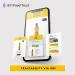 Terra Delyssa First Cold Pressed Extra Virgin Olive Oil Single Sourced 500 ML Dark Glass Bottle (17 fl. oz) - 1 Pack Certified Kosher. Non-GMO Naturally Rich in Antioxidants and Polyphenols - Buy Online on GoSupps.com