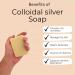 SYLVR SUPPORT - Colloidal Silver Soap Bars 3 Pack | All Natural Ingredients | Nano-Silver Unscented Soap Bars | Skin Softness, Cleansing, Soothing, Healing - Buy Online on GoSupps.com
