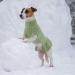 Alagirls Classic Dog Sweater - Warm Turtleneck Knitted Puppy & Cat Clothing | Christmas Holiday Outfits for Small Dogs - Sage Green - Buy Online on GoSupps.com