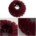 Magic Hair Clips Bird Nest Velvet Magic Hair Clip Convenient Styling Accessories for Long Short Curly Straight Hair Anti-slip Hair Supplies for Work Study Makeup Facial Washing home Wine Red - Buy Online on GoSupps.com