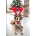 Enchanting Red Christmas Dog Collar - Adjustable Checkered Design with Metal Buckle for Small Medium & Large Dogs | Soft & Comfortable (Pack of 1) - Buy Online on GoSupps.com